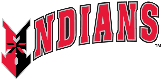 Indianapolis Indians 1998-Pres Wordmark Logo vinyl decal